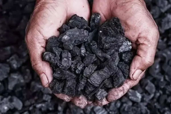 What is Petroleum Coke?